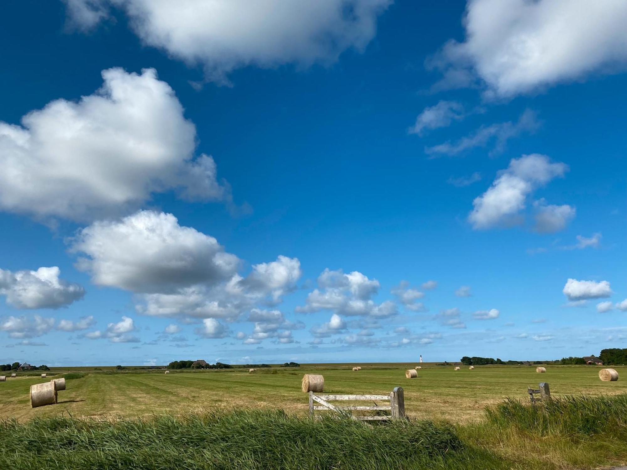 Ferienwohnung Deichgraf Westerhever Exterior foto